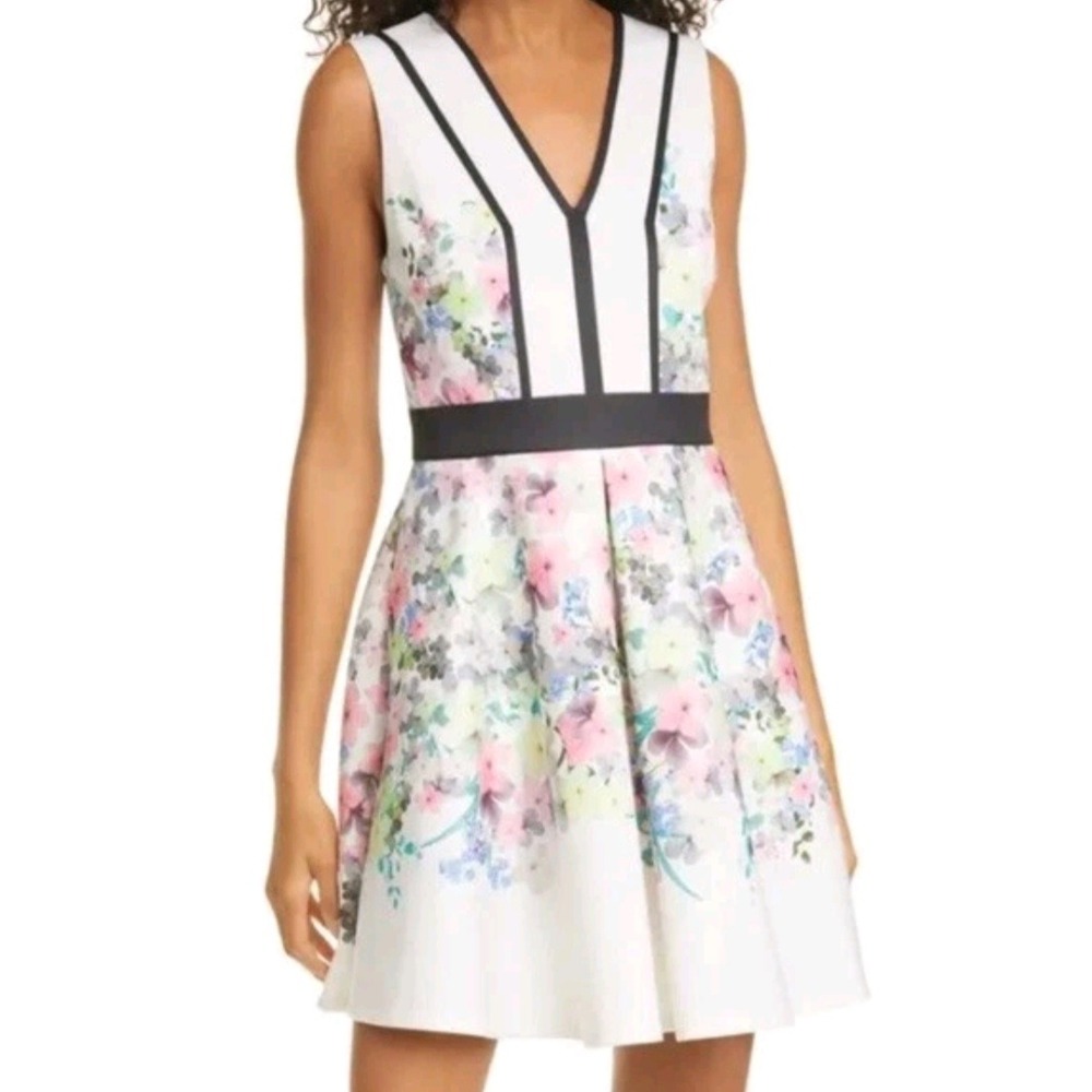 Ted Baker Pergola Printed Paneled Skater Dress Ivory Floral V-Neck Size 0 NEW
